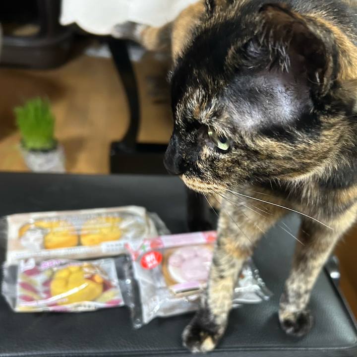 67d80a4f 7ee3 4dbf af87 ed2adf7df3ca 1771377042040