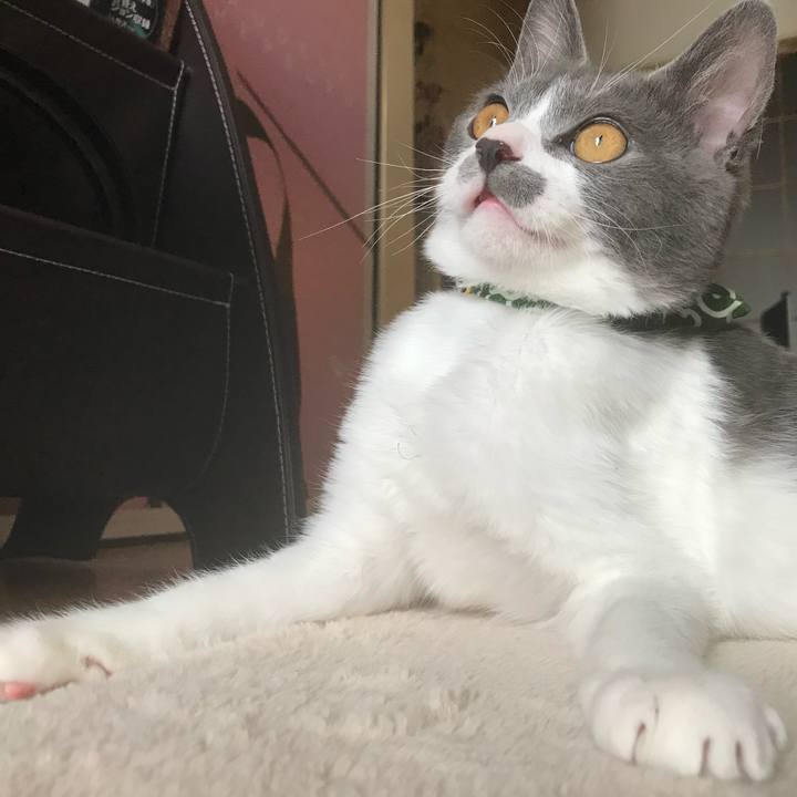 67d81e72 f632 445a 87d7 3d1d9209d3a1 1687269756803