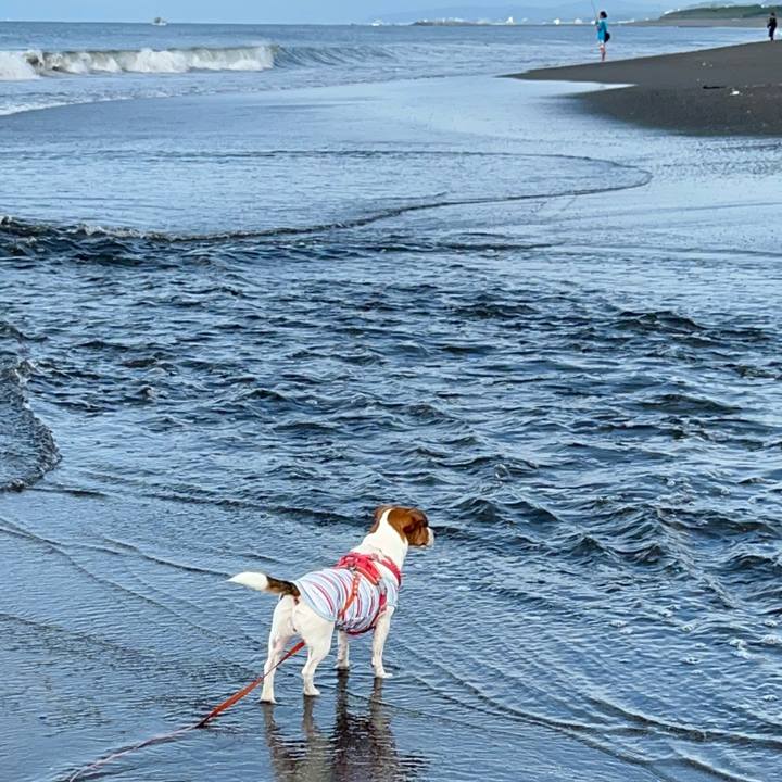 67d83d70 cc52 441f aece 9dd7d81608b3 1752323487624