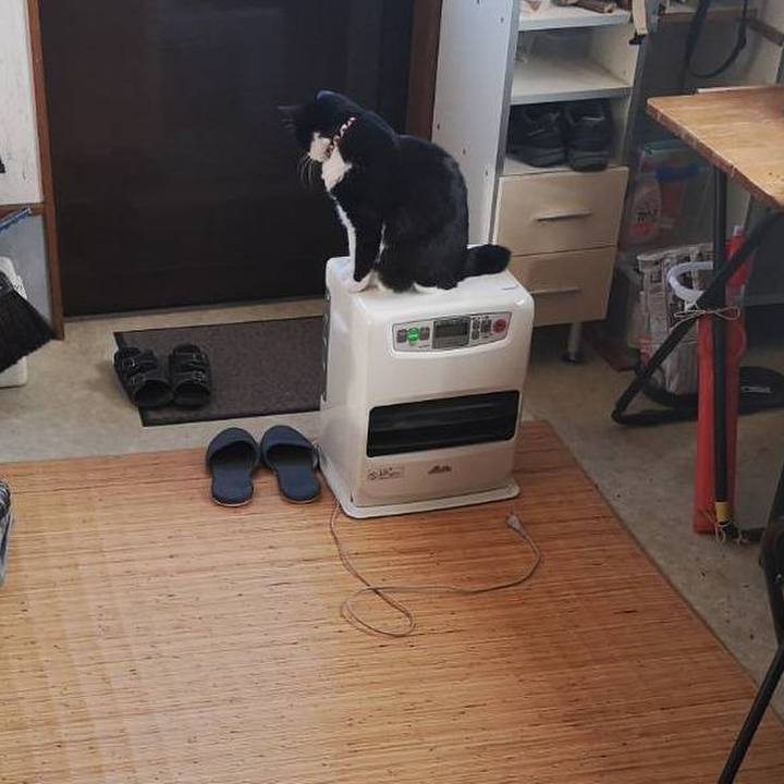 67d84e01 ded0 4a75 ac7b 2ed862253deb 1635571300110