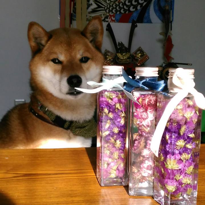 67d86568 7502 4731 aff1 cc9346e99f36 1525173605303