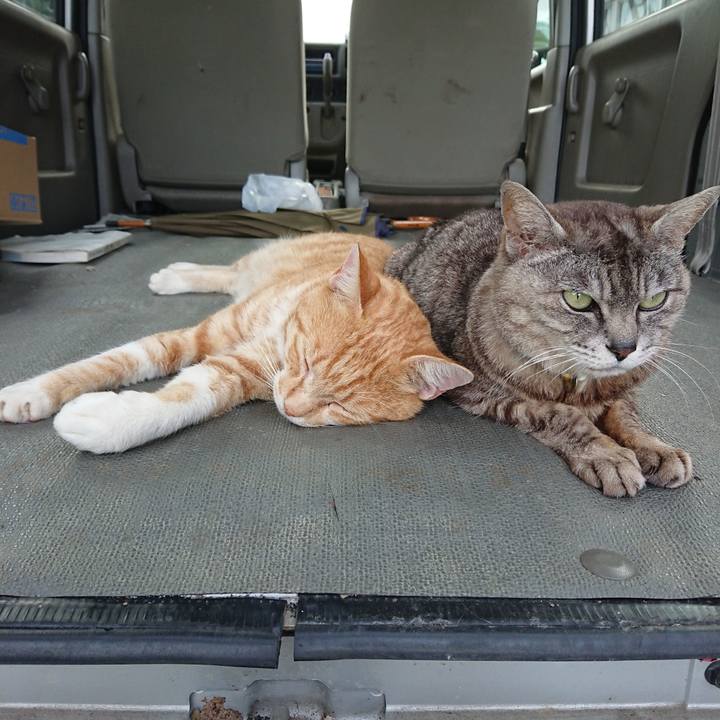 67d8a452 7185 420f 8dad 1256a8867480 1563527297759