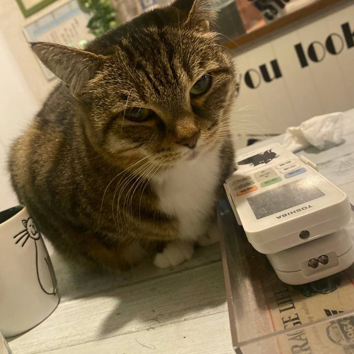 67d8fb17 e386 4151 bacf c227f2f6c3e6 1640274611936