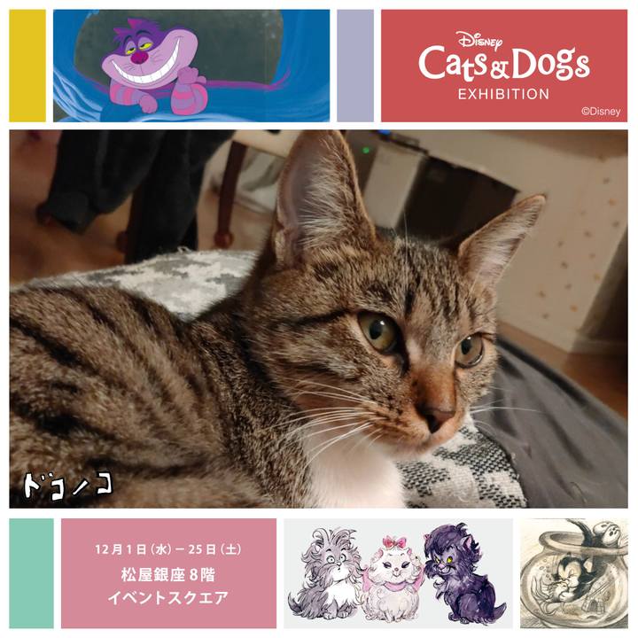 67d8fce1 920d 486d a600 db887ad48eae 1638354485921