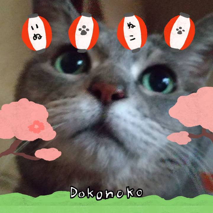 67d90ec7 3ac0 45a4 8b3f 4a526a5da31c 1712481388958