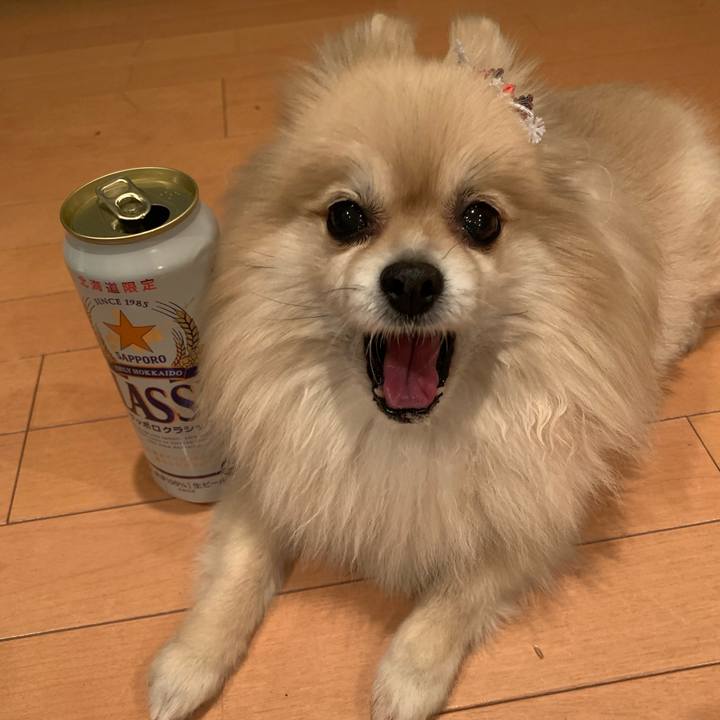 67d91325 de46 41ec 8916 2552dc5759d4 1579435324001