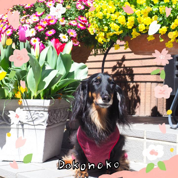 67d9247d dd0f 4751 ac75 5826ea411a04 1711505879436