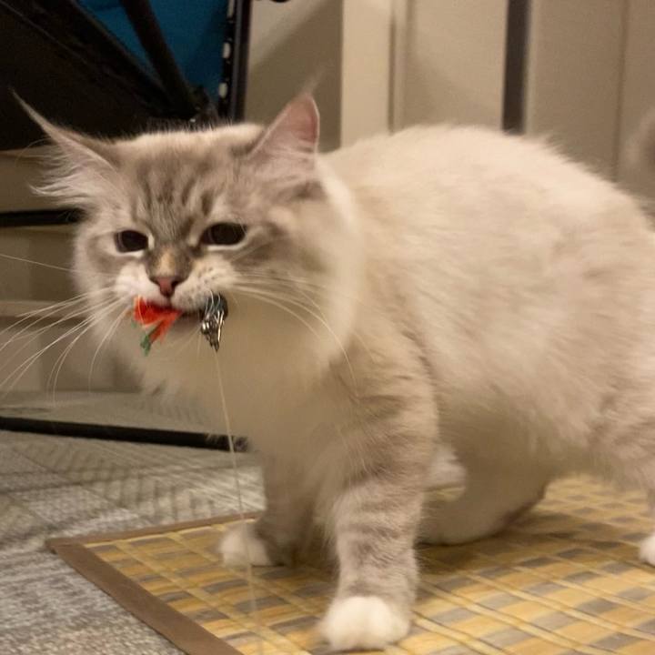 67d9272d 6c54 4b55 be3c 110f70bc2c85 1691401972997