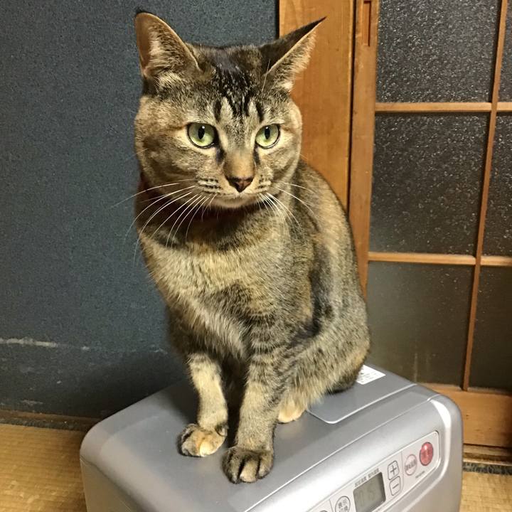 67d93692 8f47 4fbf b895 a3bd151f079f 1640508162723