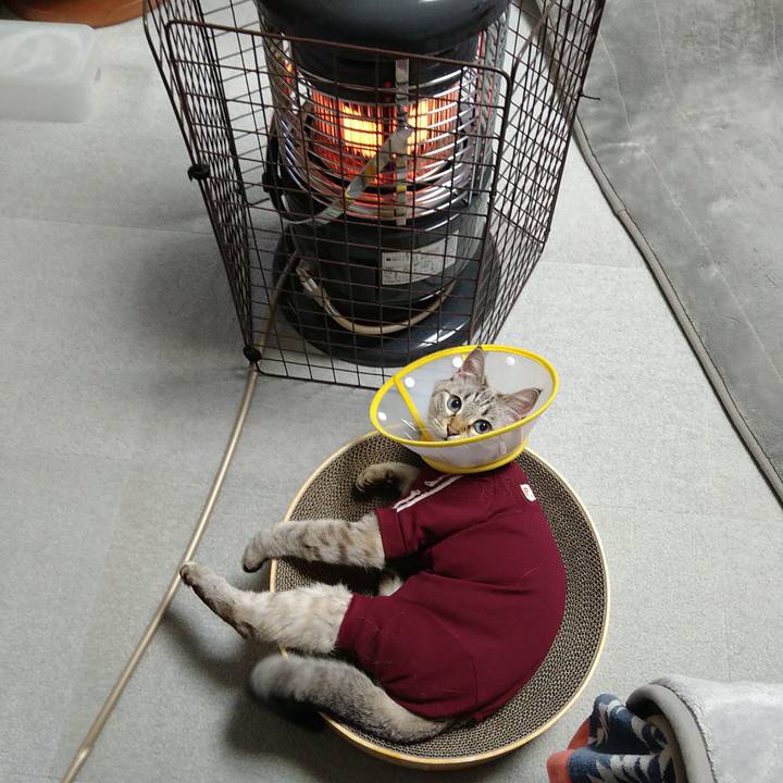 67d93bd9 b612 4ab9 845d 1f7ef2ee8421 1736334386255