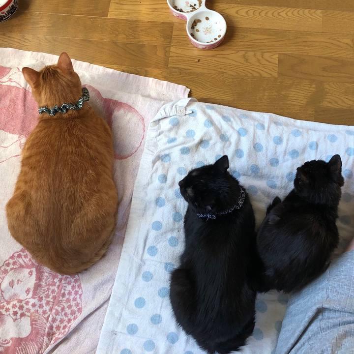 67d94eaf 1a68 484a beb1 aff084f1c5d5 1557779449274