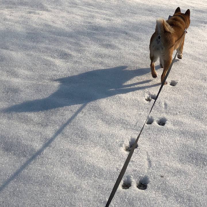 67d968fd 1e3f 4b17 9b55 411a66aaedf2 1517646046431