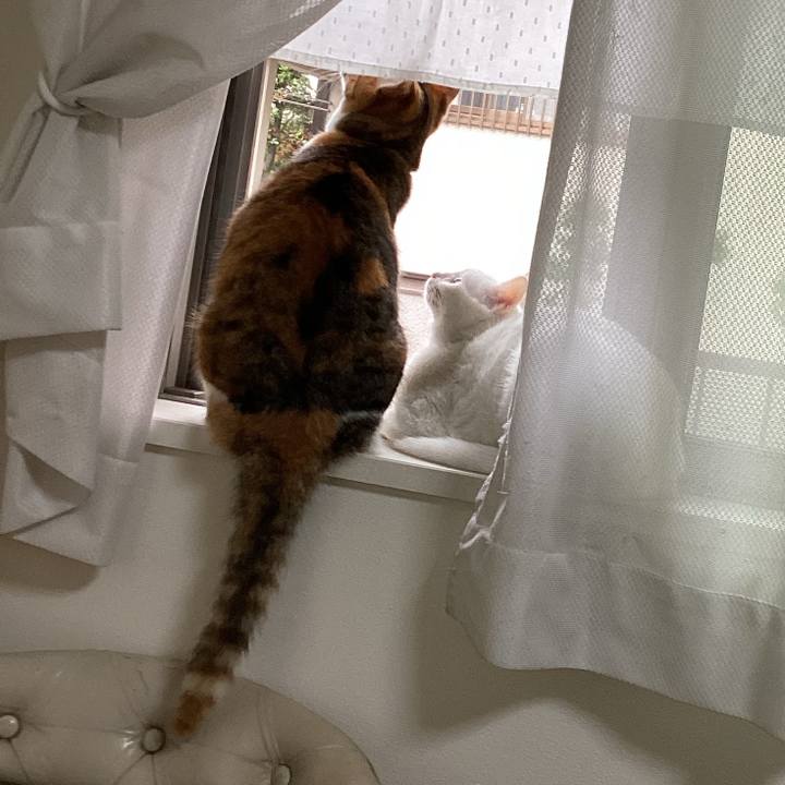 67d97a42 973b 40f1 9bea 64e13e1e1347 1654226864350