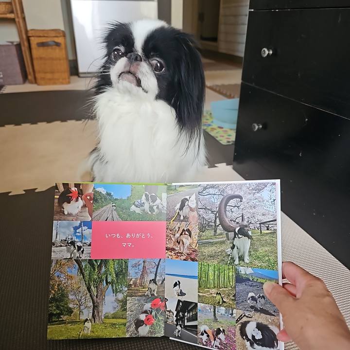 67d97bb5 0fa5 44a7 b603 a380dcc59613 1720325769775