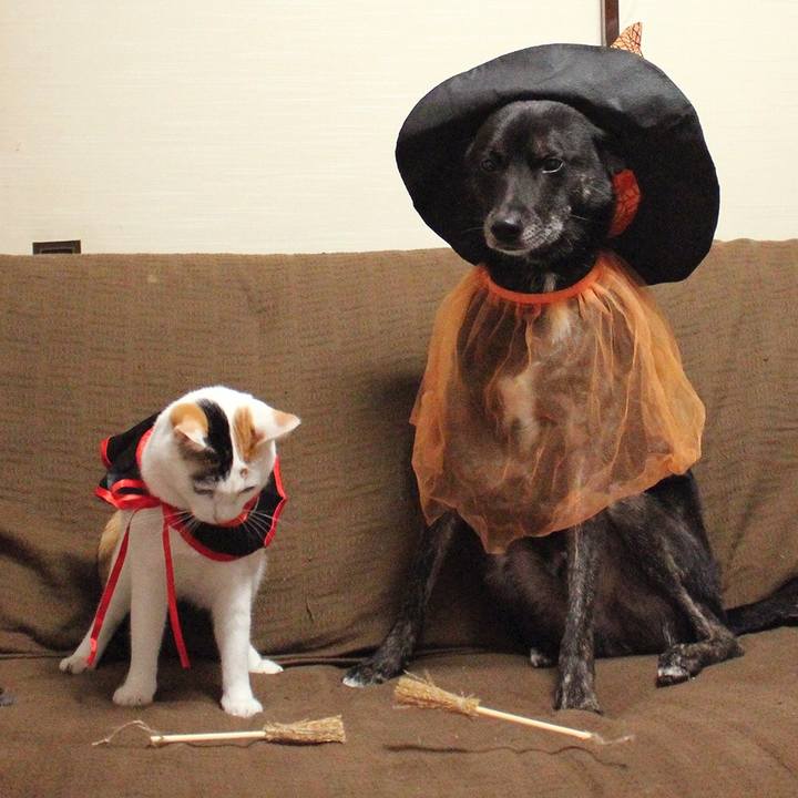 67d99c9e e929 45f1 954d eb34b544980f 1572529478613