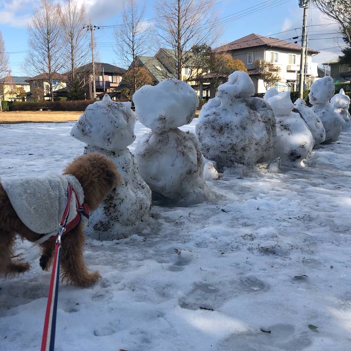 67d9e09c f7f3 4b7a 9824 5d34197bc8f8 1642402049045