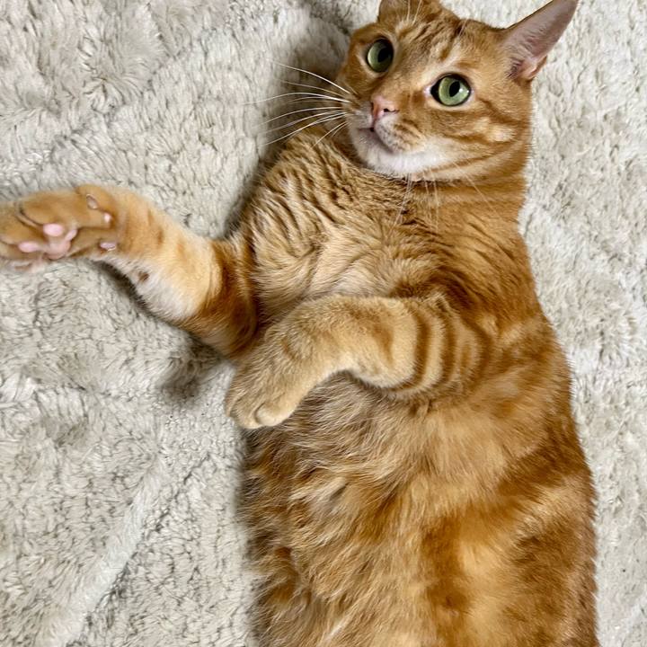 67da2237 01c7 4b5f 89e4 061b1e2eaf70 1658785473627