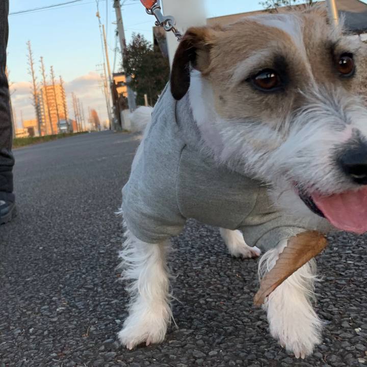 67da44a1 91a2 4fb9 99c0 220faae20e7b 1613300306153