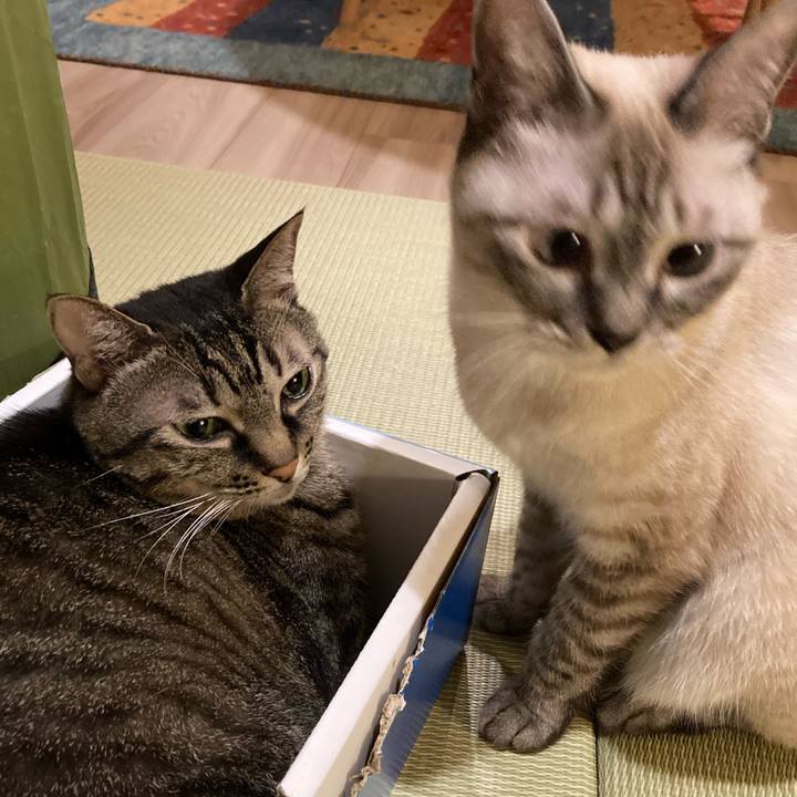 67da531d 0d77 4b65 b885 8206000084b2 1665101716419