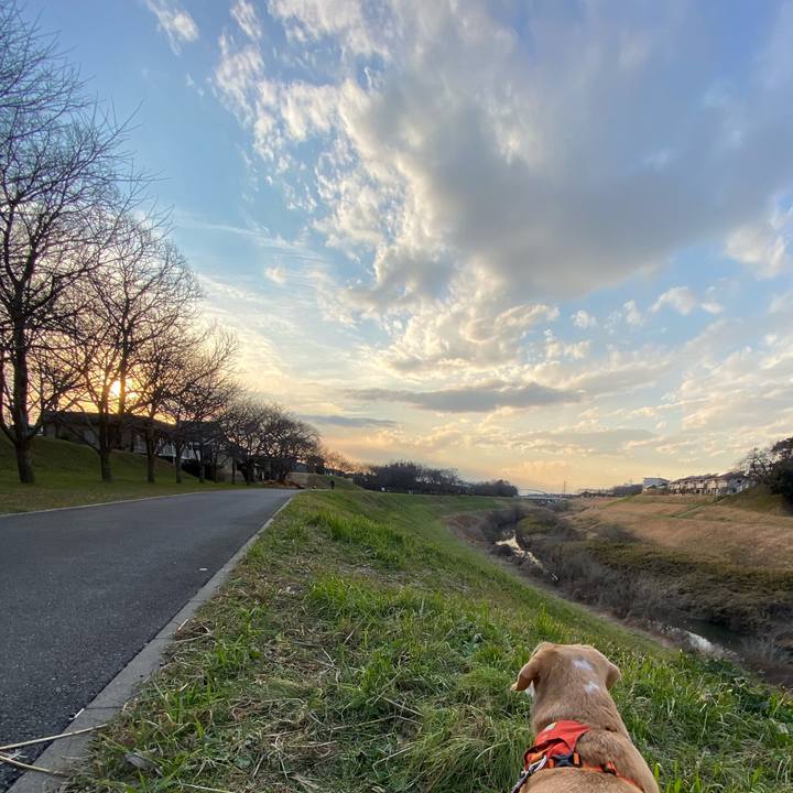 67da548c 7b94 4db9 b88d 4045705c5973 1642411506545