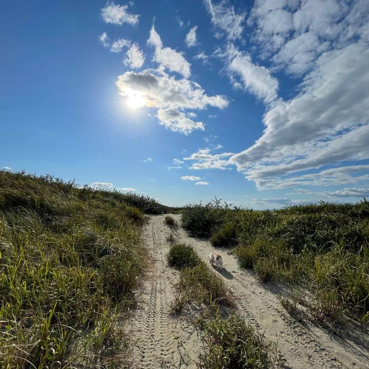 67da603d be79 4bc5 8645 af4e681497e6 1666253777079