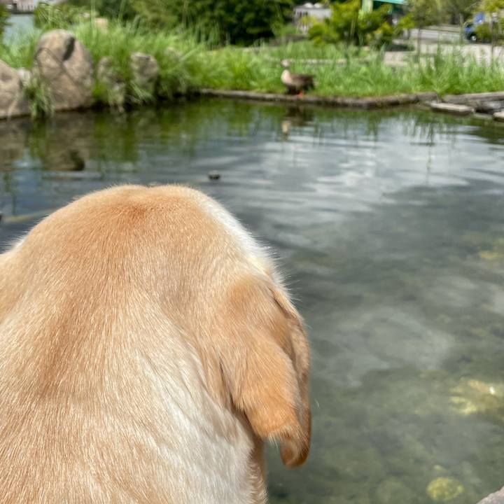 67da97d1 4c60 48c1 ab20 c91f0ea9f8fd 1629362473725