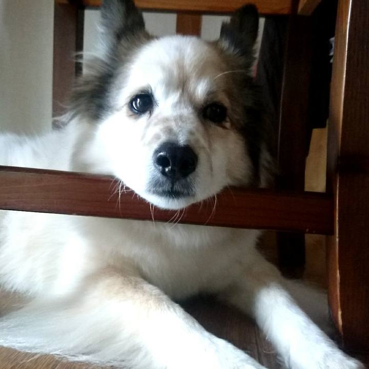 67da99bd 536c 45f1 861a 16aadade12ed 1554117288907