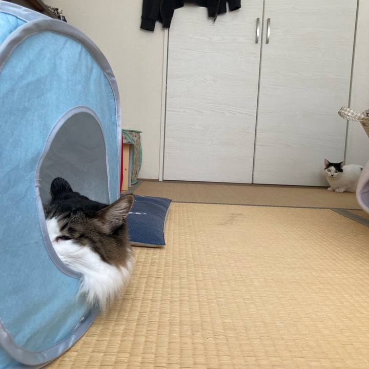 67daa10a 27c4 4537 b128 ea2a6e9a9e93 1757900457982