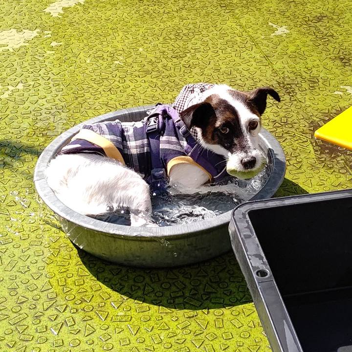 67dac972 9124 489f b6d9 b5593bd0d9c2 1717585763291