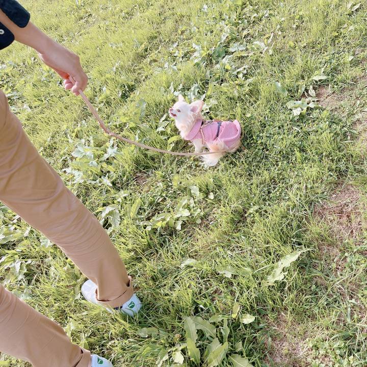 67daf4f8 fb41 4a32 b210 675953aafe90 1665823032695