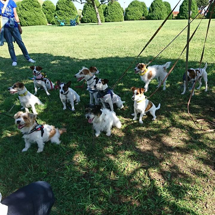 67db400c 4989 4da9 8640 fff531cbdef3 1538909237819