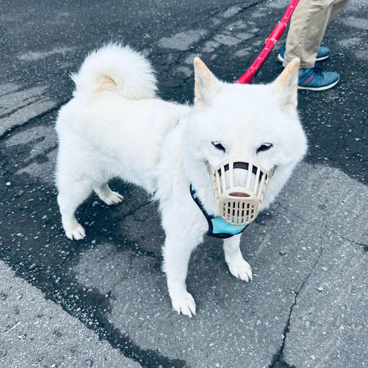 67db4376 0b6c 4dda acb5 deea98601463 1685311081444