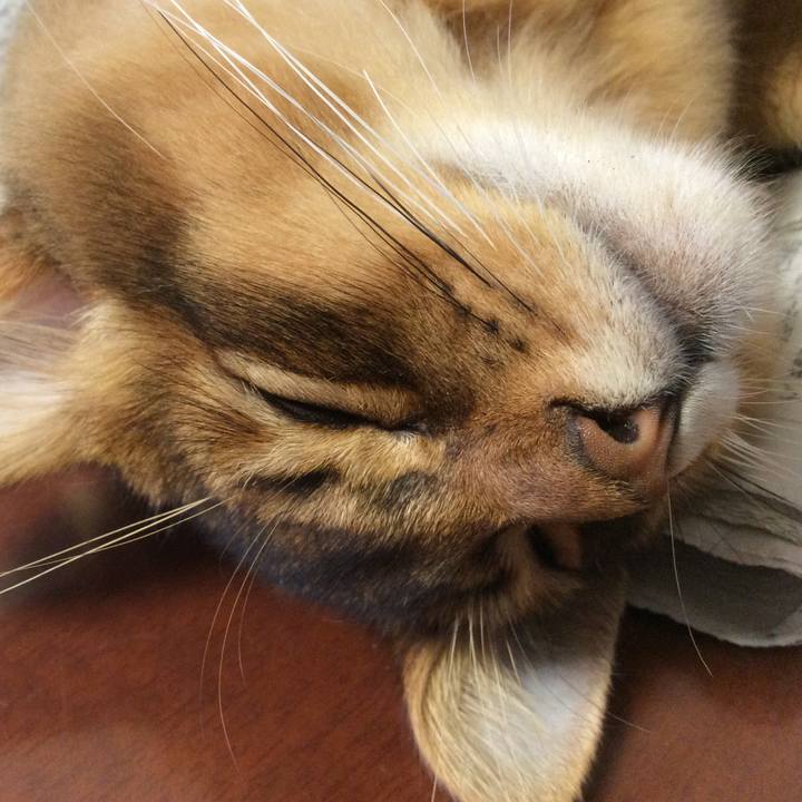 67db5be8 2d0b 4175 83b5 e289da6b3a2d 1576970625475