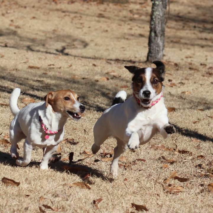 67db75fe 334e 4227 be65 d97c115fbafe 1513495763418