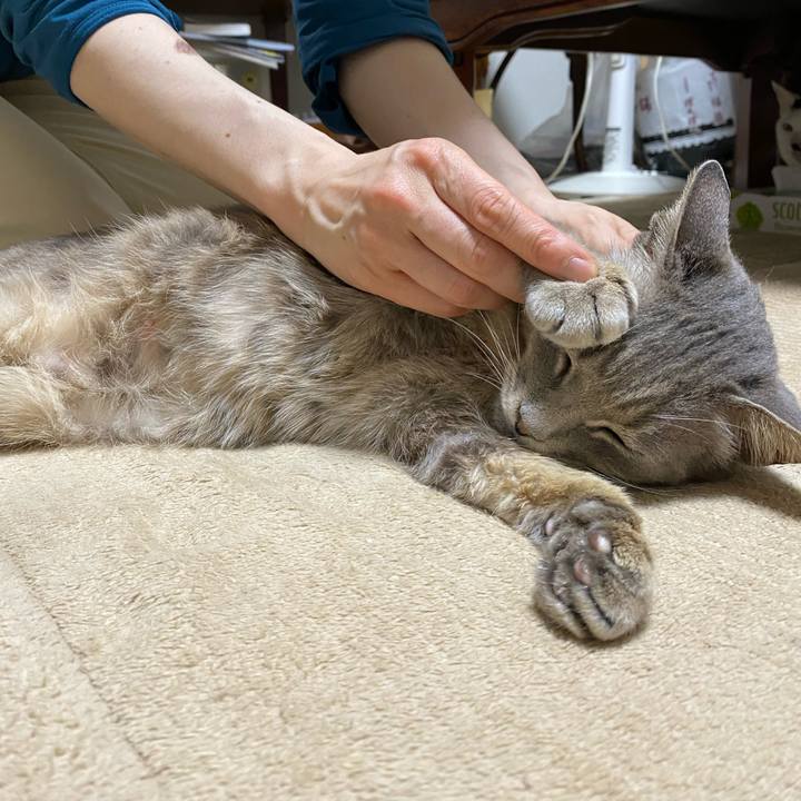 67db868f 82cd 4cc0 9ee6 a56fb6b344c4 1591443631809