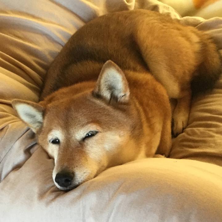 67dc09a2 661f 4b2d 8e79 668cac4d9407 1578537879376