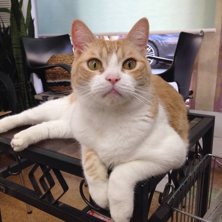 67dc5645 06a0 4780 8851 0aadd6a3d801 1509416421922