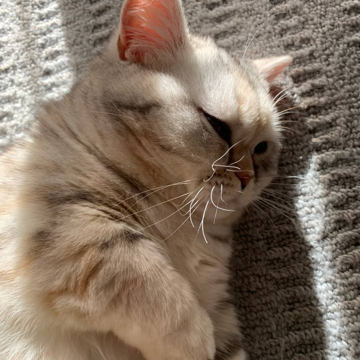 67dc5e72 14ca 4fed aa1f 7b8acd9a7de9 1705202447315