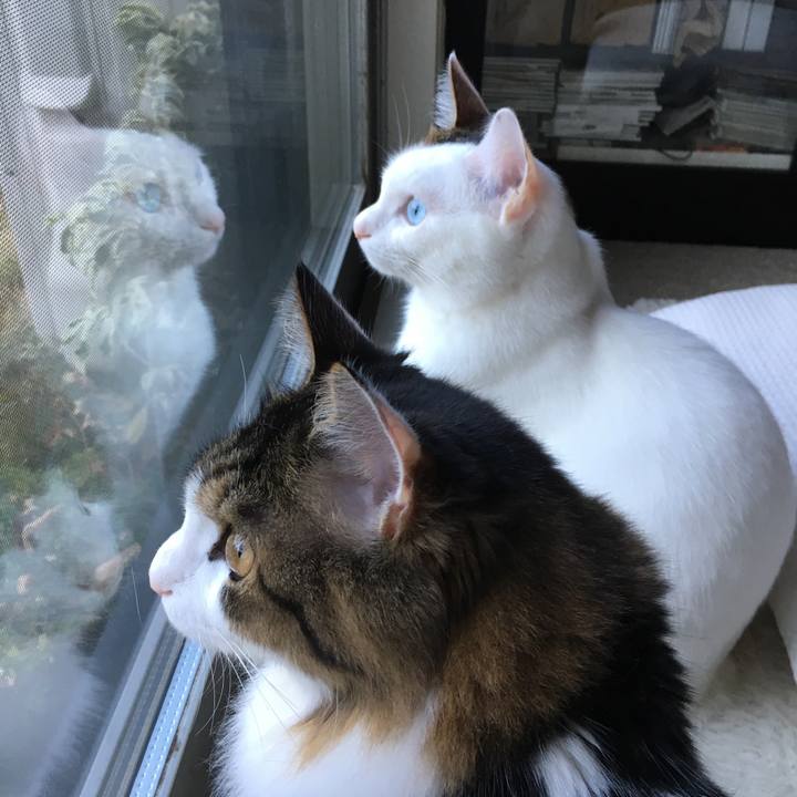 67dc662e 8d2c 43c0 b6dc f069d2373638 1512775711704