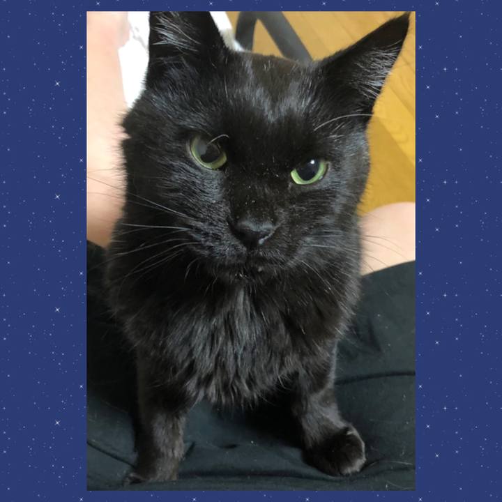 67dc7866 2c4c 45c4 81aa 5122075daf4d 1639306802903