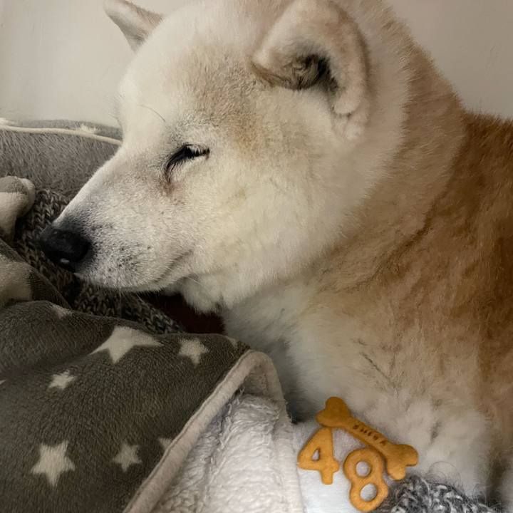 67dc9e56 c096 4a9c bec6 fdd9e501920f 1712578497518