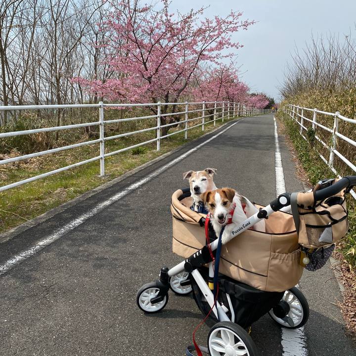 67dc9f7c e528 493a 9c37 3f64e13fd529 1647141223149