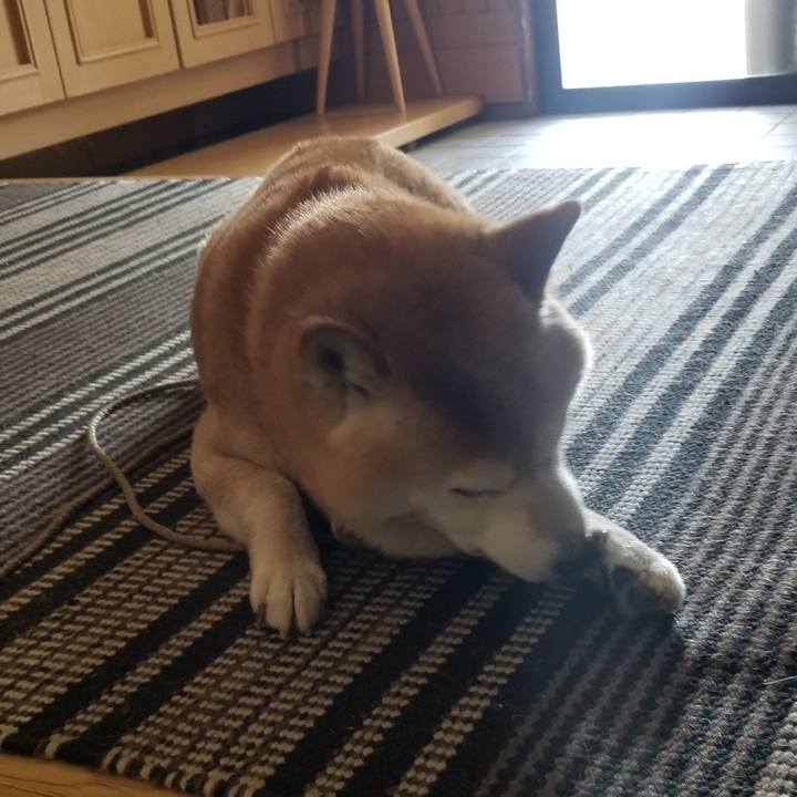 67dcb8b3 a9a8 4d9d 8947 bc042098bbc8 1683255182715