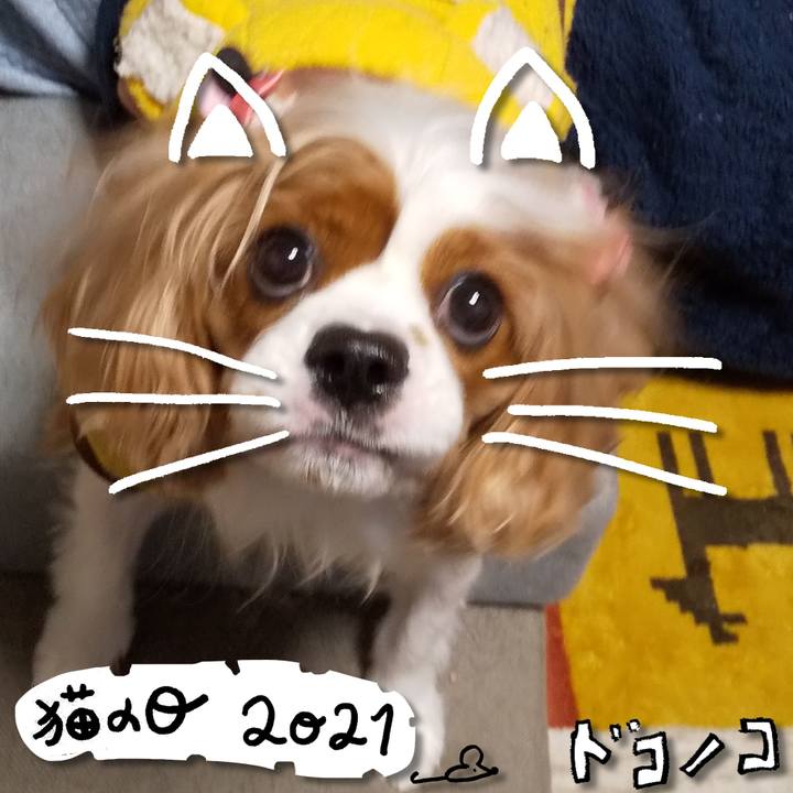 67dcc920 8475 4441 9761 4b0dd59cefe6 1613989814700