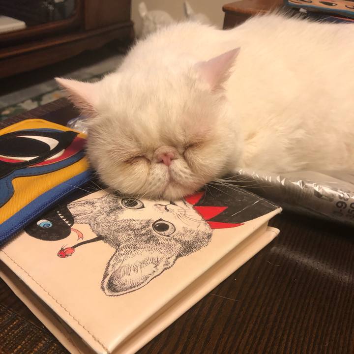 67dcf21f 9507 4520 b17f 27b3ee0bead6 1625232241918