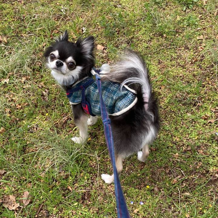 67dcf706 bb03 4655 b71d 383420c3cf4d 1710950105236