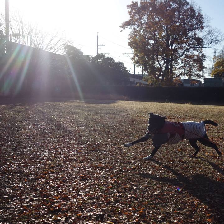 67dd15ac 43ff 4959 9411 8d5ddcb54c2c 1702169054500