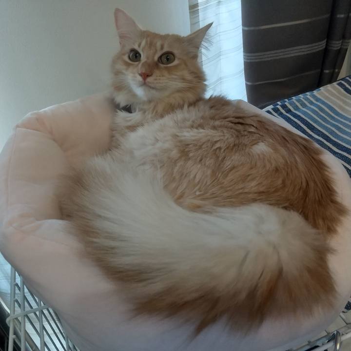 67dd3b8b 6998 42f6 aebc 8bc93eddb54c 1640134139146