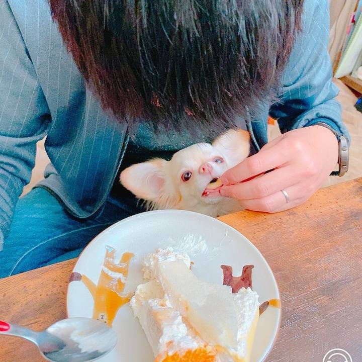 67dd4dc0 01c0 43e3 b418 03a07e976447 1635054061932