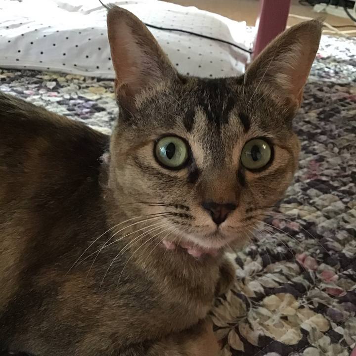 67dd74a7 d2c5 44cb a9ca c1abb4d68f6f 1591257174048